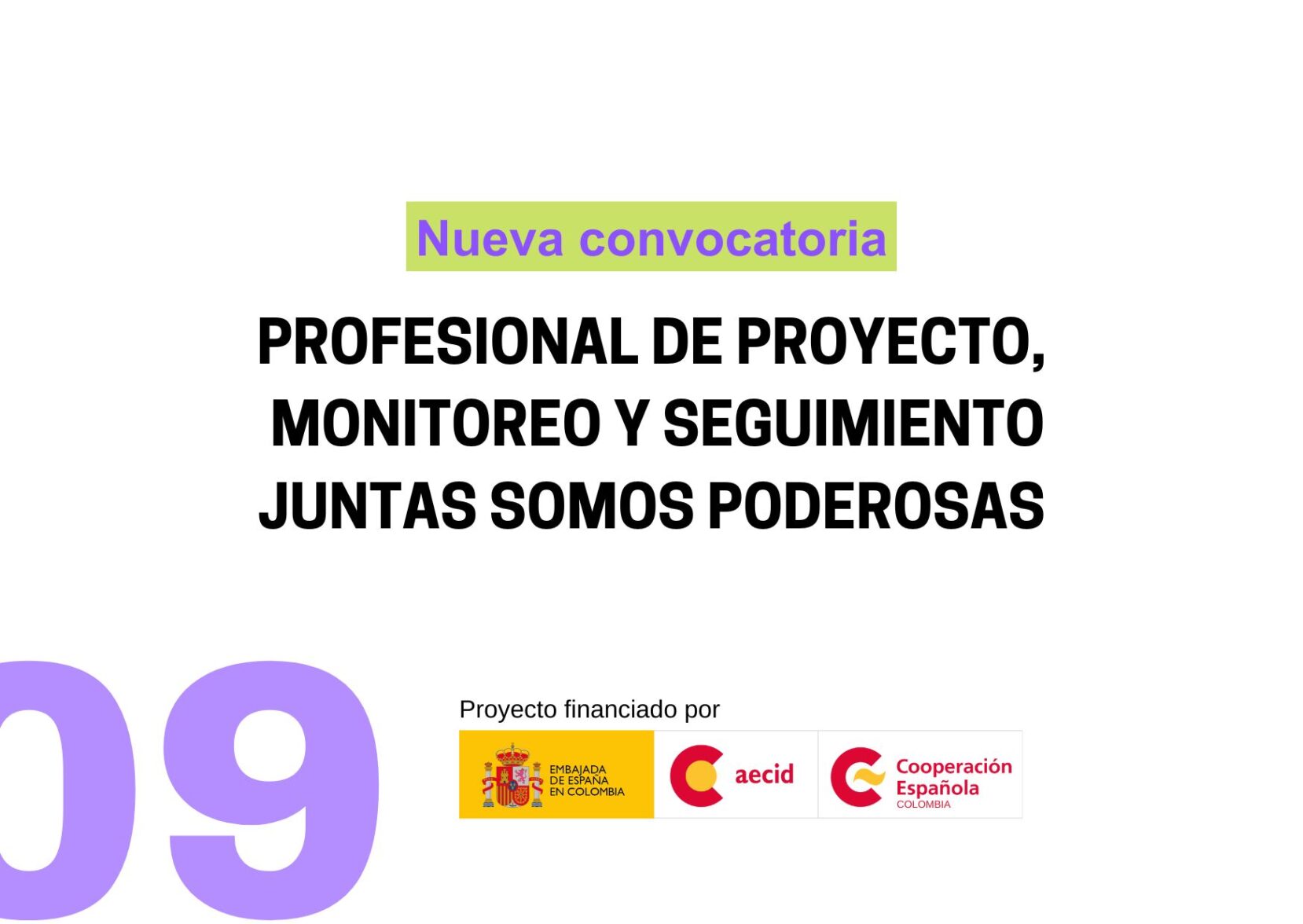 Convocatoria no. 009 profesional de proyecto juntas somos poderosas